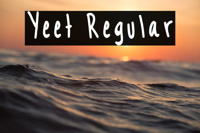 Yeet Regular Example 2