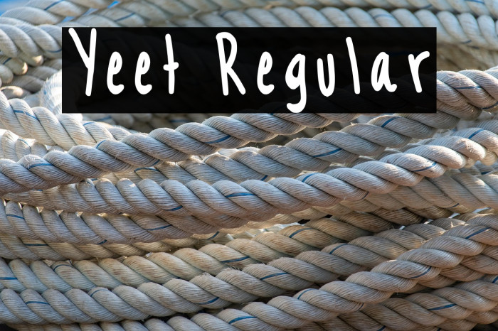 Yeet Regular Example 3