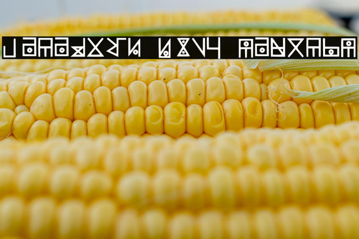 Yelekish Font Regular Example 3