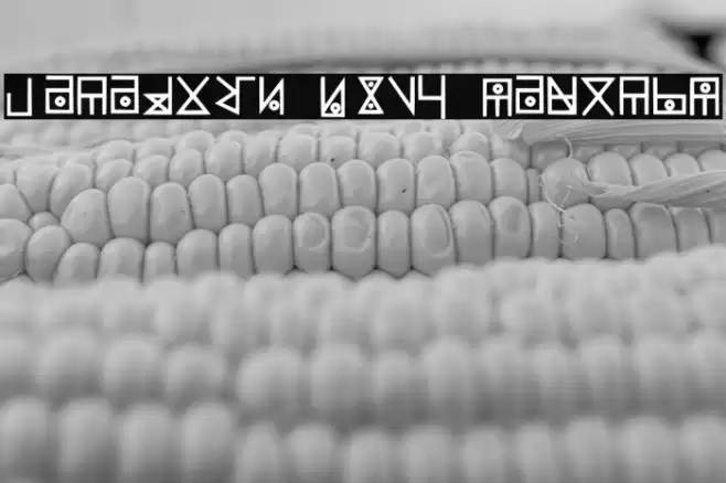 Yelekish Font Regular Font examples