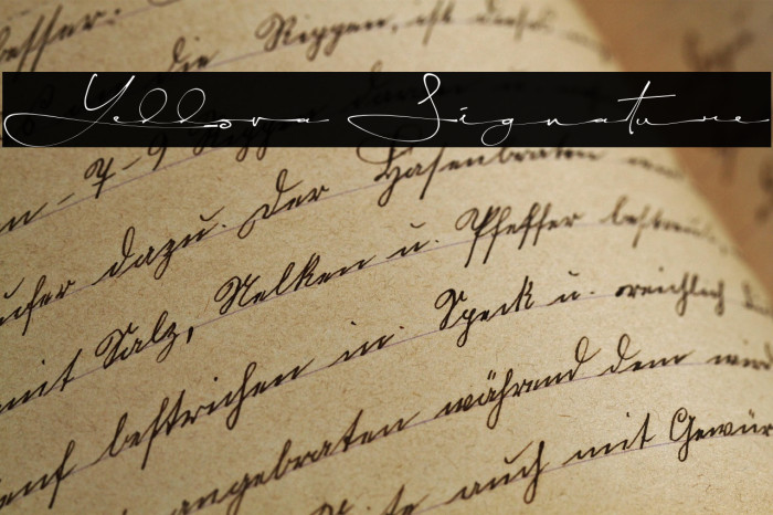Yellova Signature Example 1