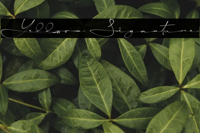 Yellova Signature Example 3