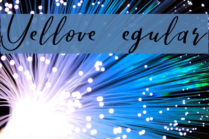 Yellove DEMO Regular Example 1