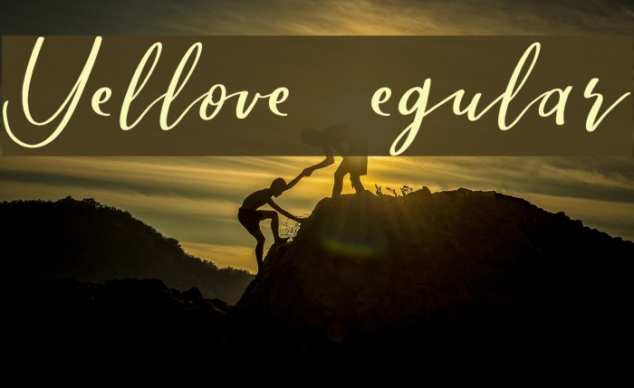 Yellove DEMO Regular Example 2