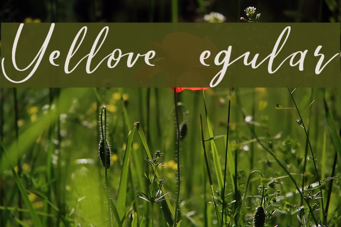 Yellove DEMO Regular Example 3