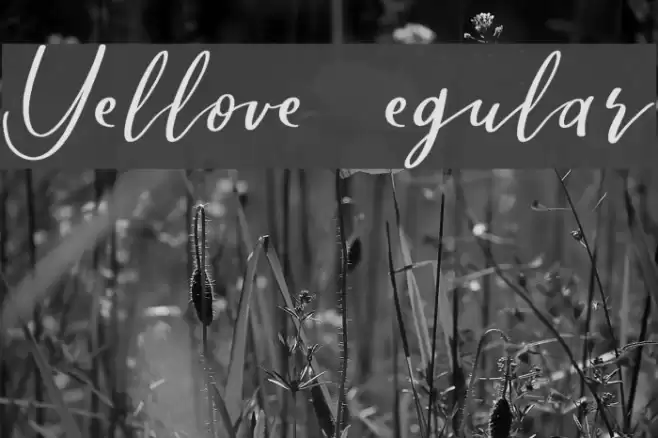 Yellove DEMO Regular Font examples