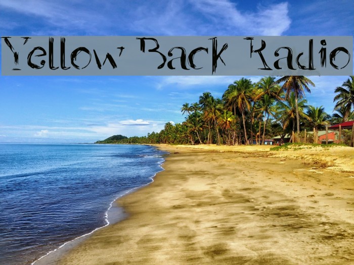 Yellow Back Radio Example 2