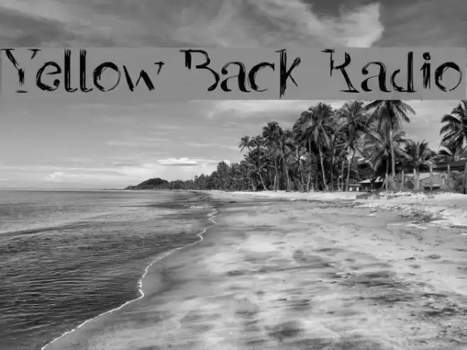 Yellow Back Radio Font examples