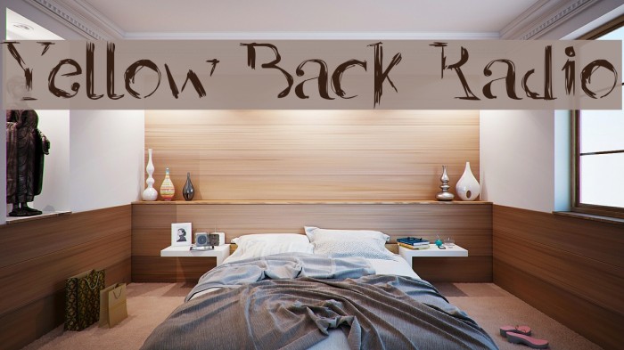 Yellow Back Radio Example 3