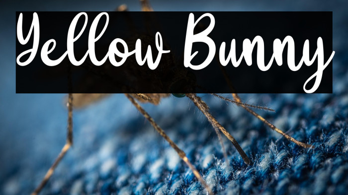 Yellow Bunny Example 1