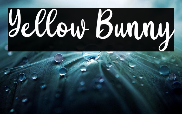 Yellow Bunny Example 3