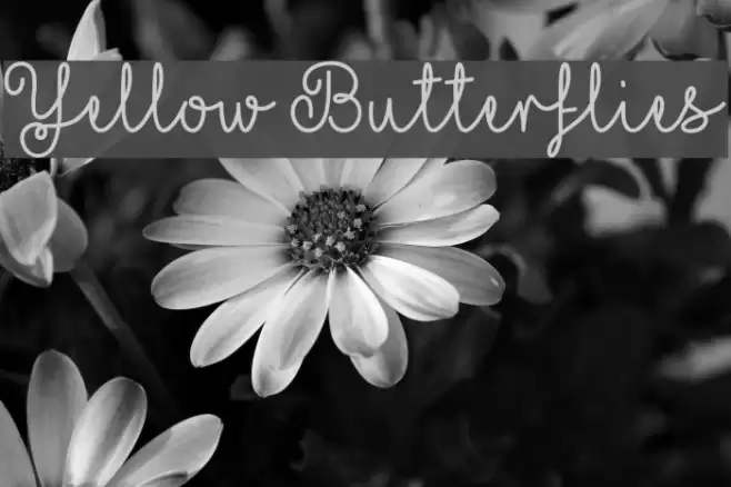 Yellow Butterflies Font examples