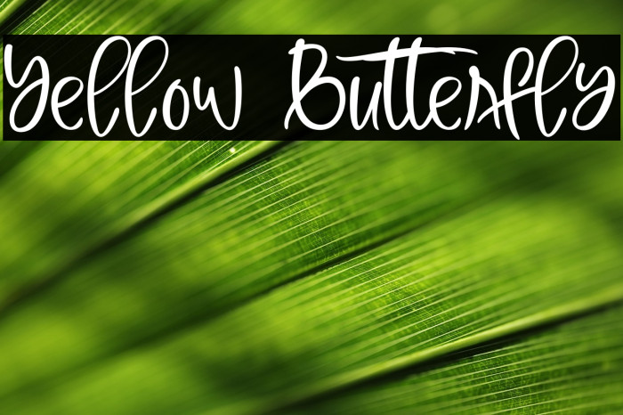 Yellow Butterfly Example 2