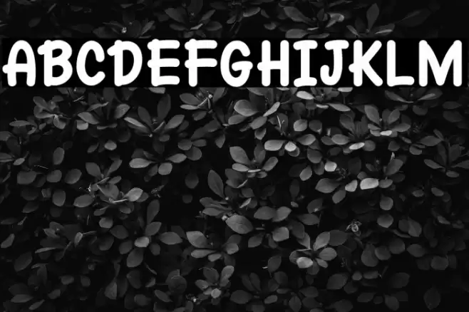 Yellow Cat Caratteri examples