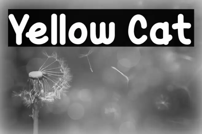 Yellow Cat Font examples