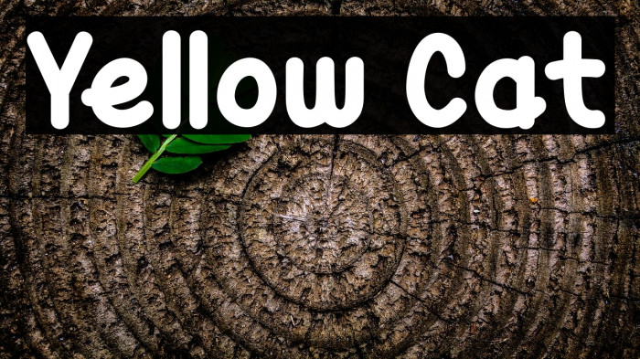 Yellow Cat Font examples