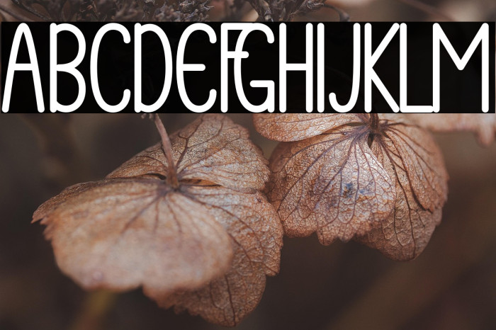 Yellow Display Example 2