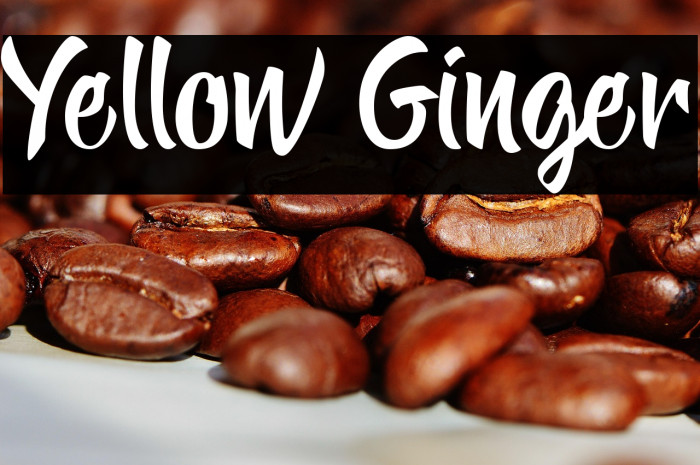 Yellow Ginger Example 2