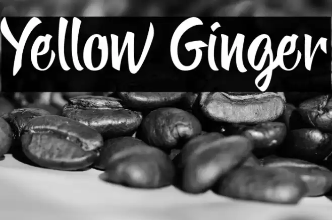 Yellow Ginger Font examples