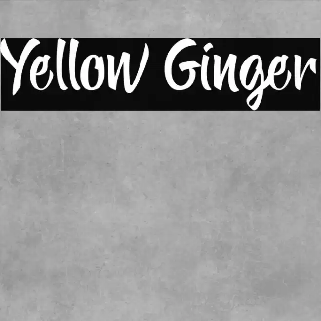 Yellow Ginger Font examples