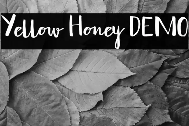 Yellow Honey DEMO Font examples