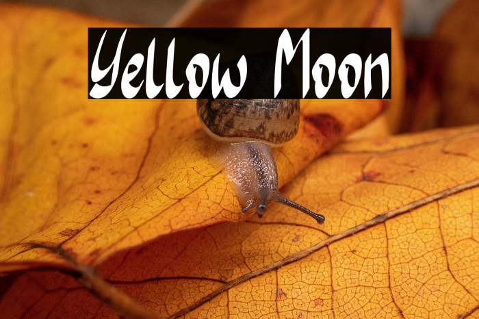 Yellow Moon Example 2