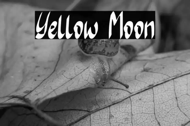 Yellow Moon Font examples