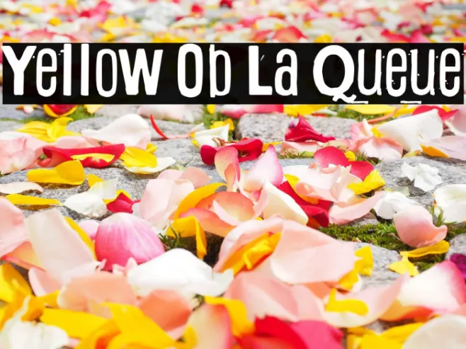 Yellow Ob La Queue Example 3