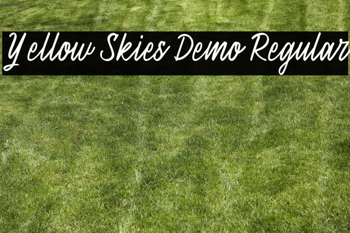 Yellow Skies Demo Regular Example 2