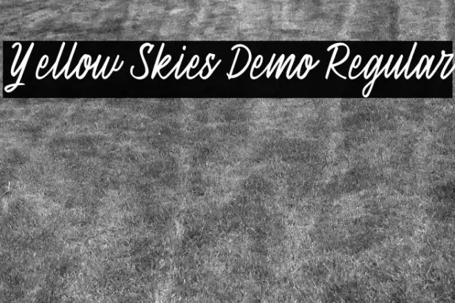 Yellow Skies Demo Regular Caratteri examples