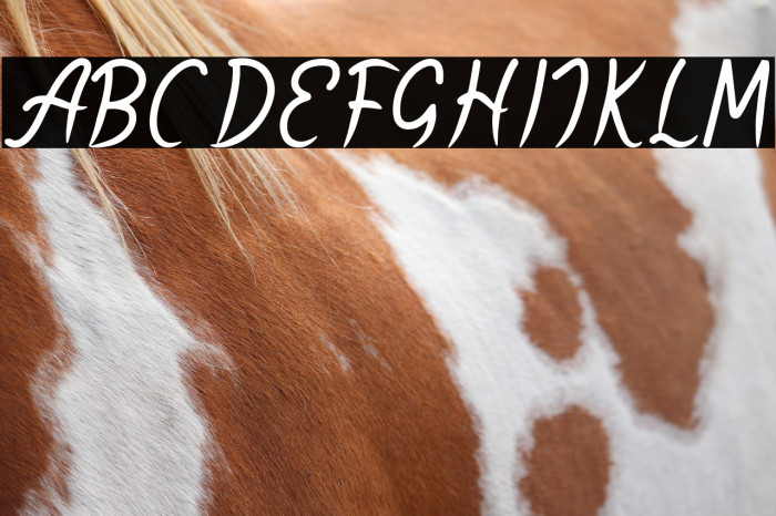 Yellow Star Example 2