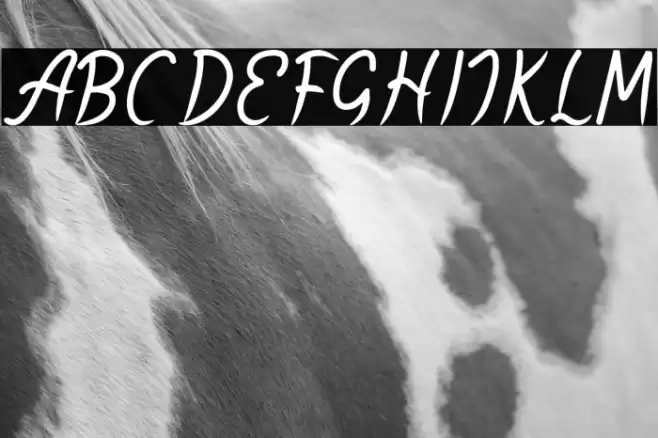 Yellow Star Font examples