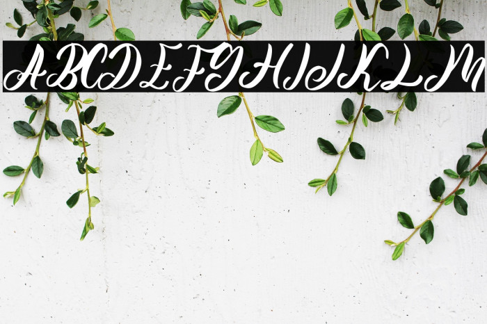 Yellow Sunflower Example 2