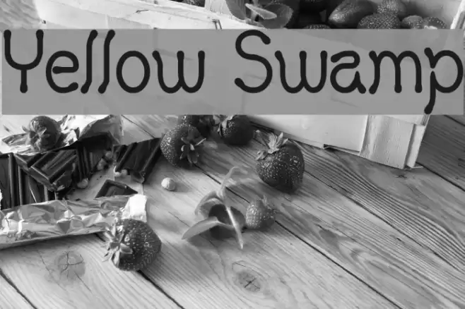 Yellow Swamp Font examples