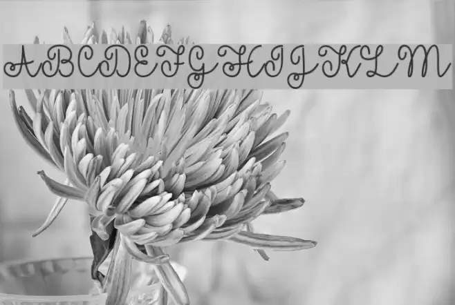 YellowButterflies Font examples