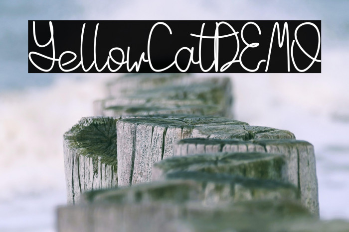 YellowCatDEMO Example 2