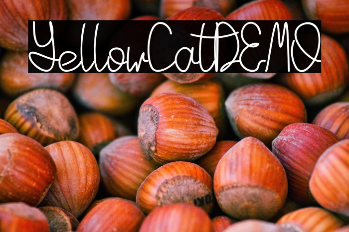 YellowCatDEMO Example 3