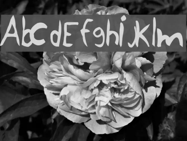 YellowJug Font examples