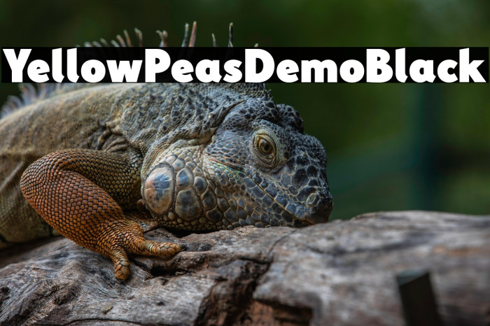 YellowPeasDemo-Black Example 1