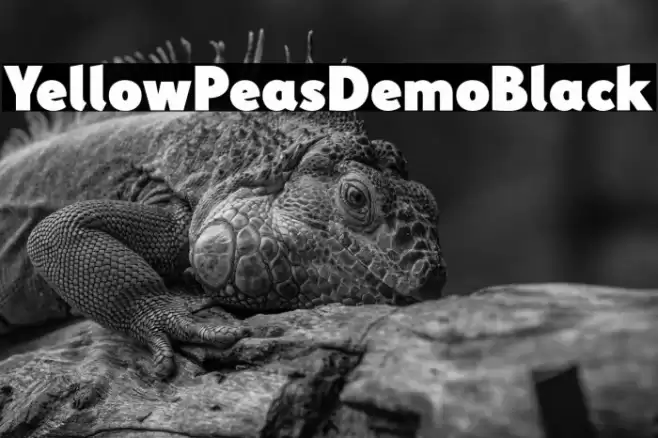 YellowPeasDemo-Black Font examples