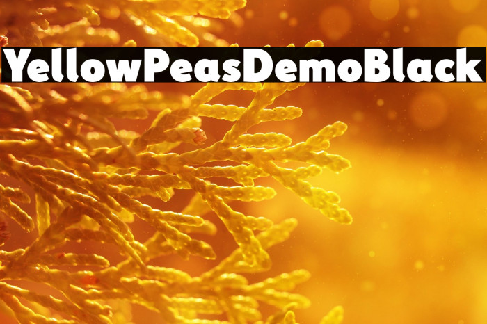 YellowPeasDemo-Black Example 2
