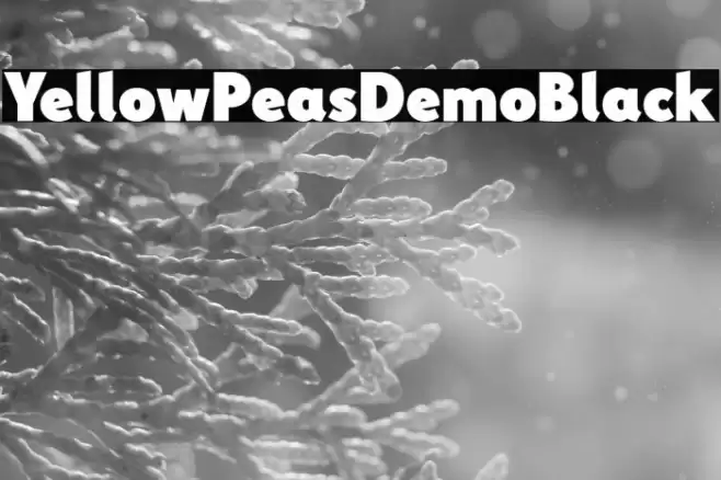 YellowPeasDemo-Black Font examples
