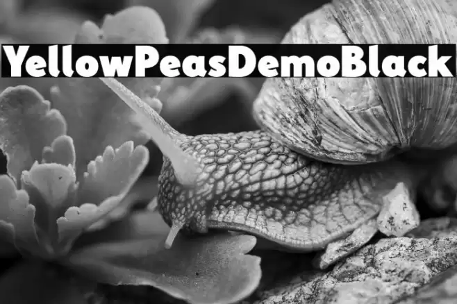 YellowPeasDemo-Black Font examples