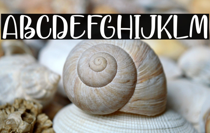 YellowRabbit-PersonalUse Example 3