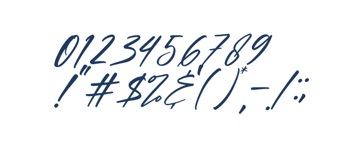 Yellowbird Italic Other Characters