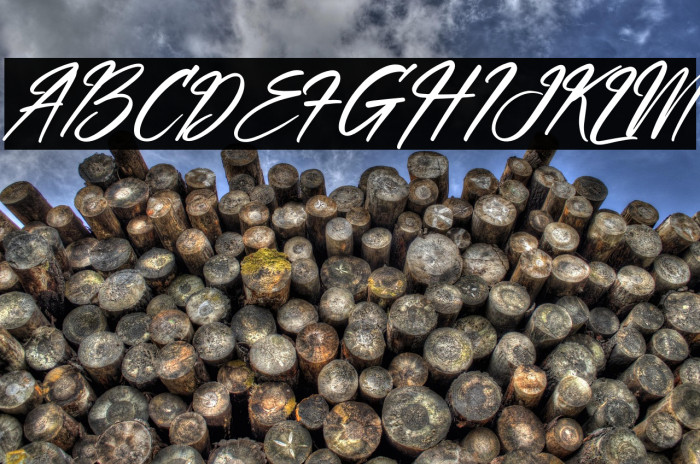 Yellowbird Italic Example 2