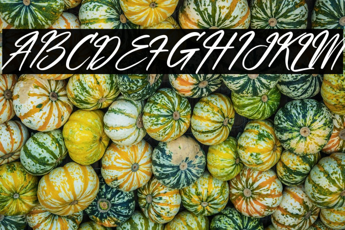 Yellowbird Italic Example 3