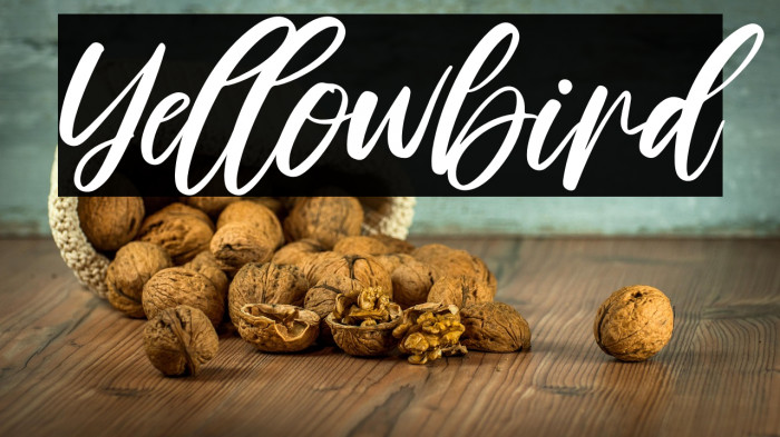 Yellowbird Example 2