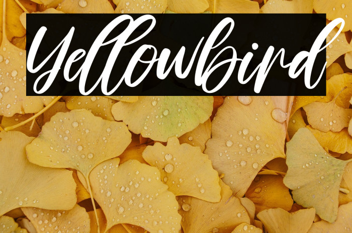 Yellowbird Example 3