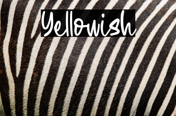 Yellowish Example 3